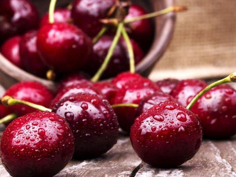 Вишня купить саженцы из питомника в Белебее